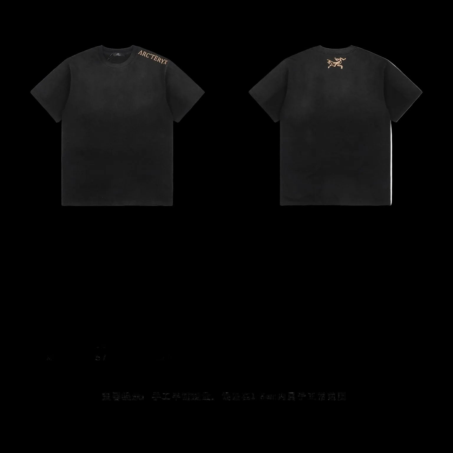 ARCT’TERYX-Shirt - Men's